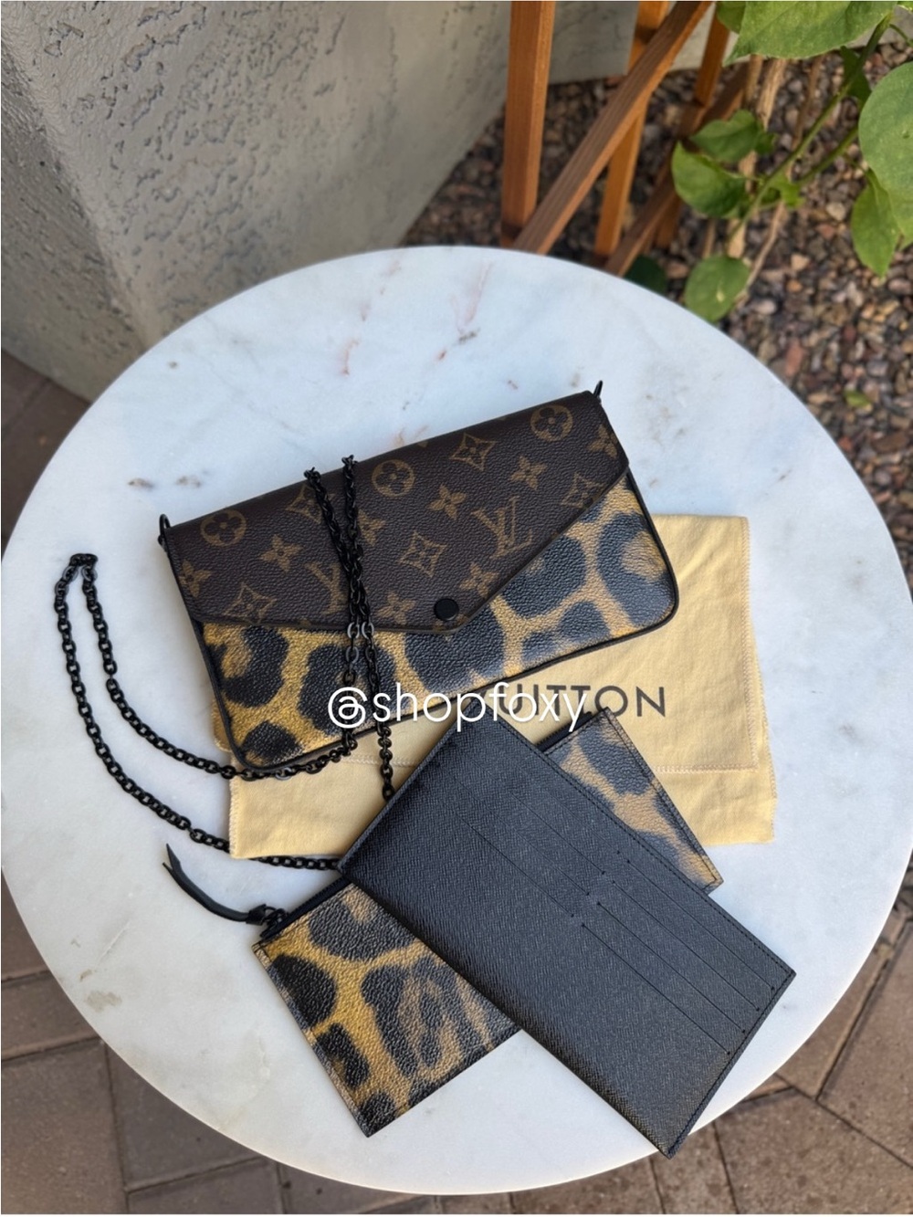 Louis Vuitton Wild Animal Pochette Felicie Crossbody - Picture 2 of 16